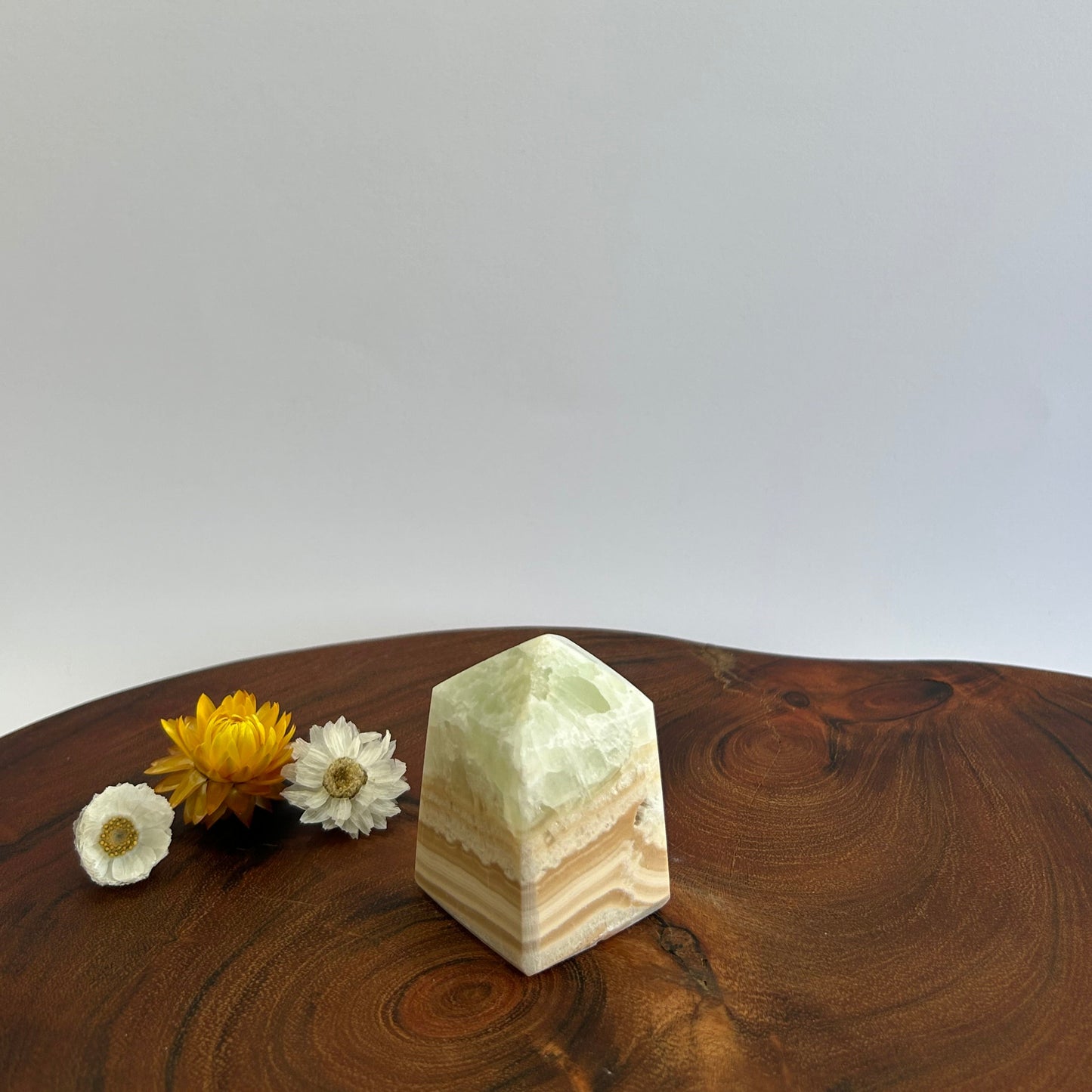 Caribbean Calcite Tower