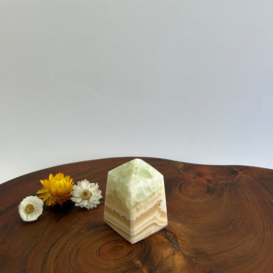 Caribbean Calcite Tower