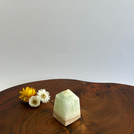 Caribbean Calcite Tower