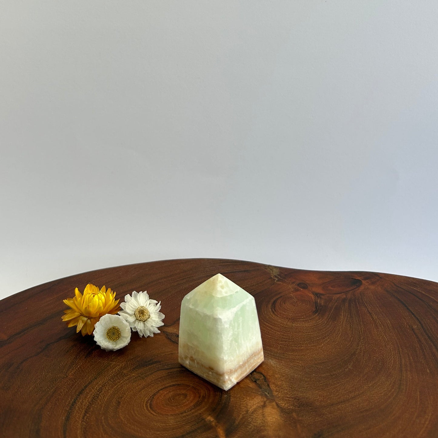 Caribbean Calcite Tower