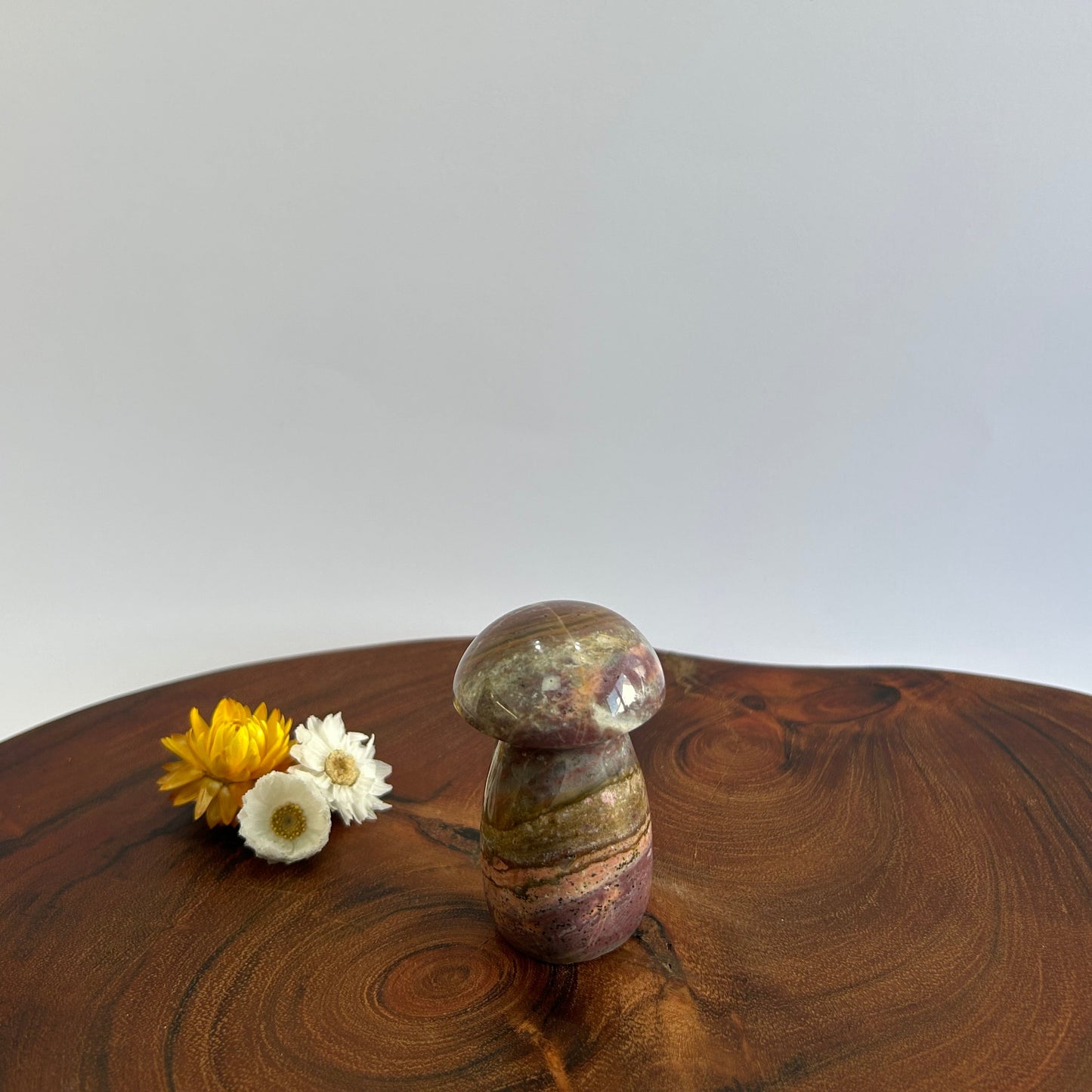 Ocean Jasper Mushroom
