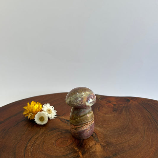Ocean Jasper Mushroom