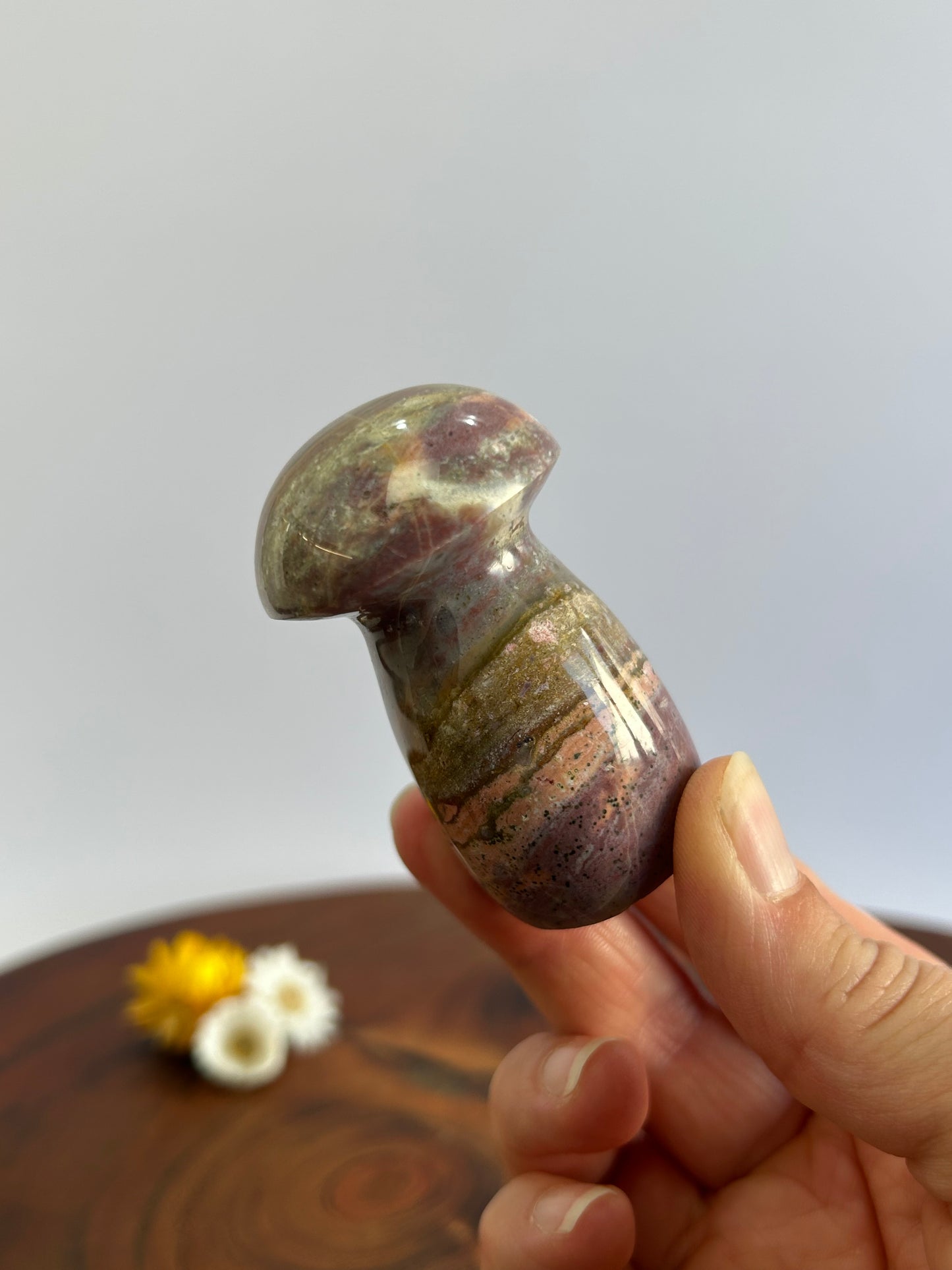 Ocean Jasper Mushroom