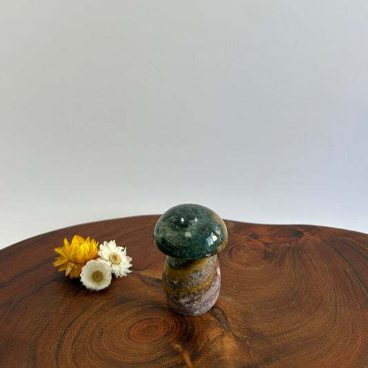 Ocean Jasper Mushroom