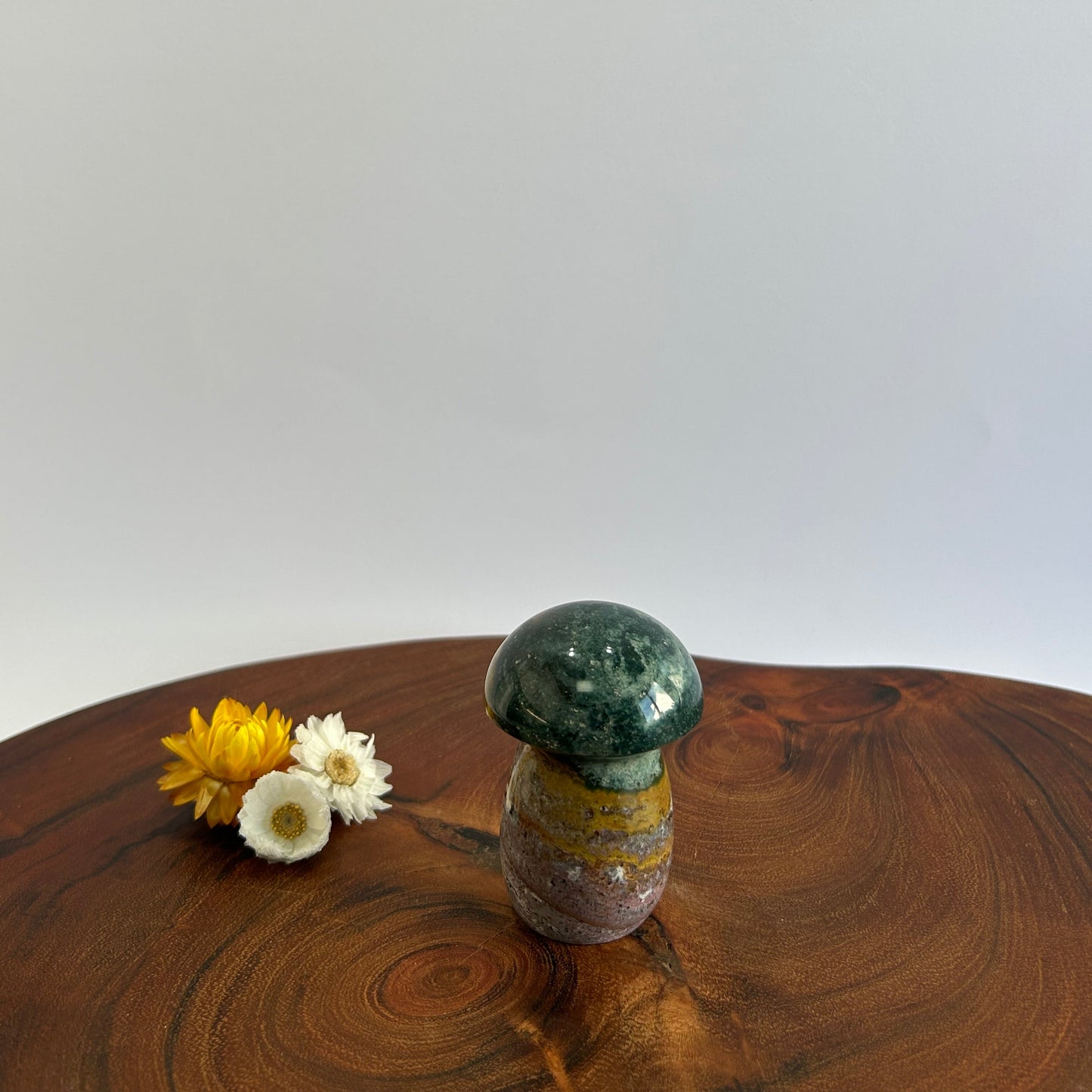 Ocean Jasper Mushroom