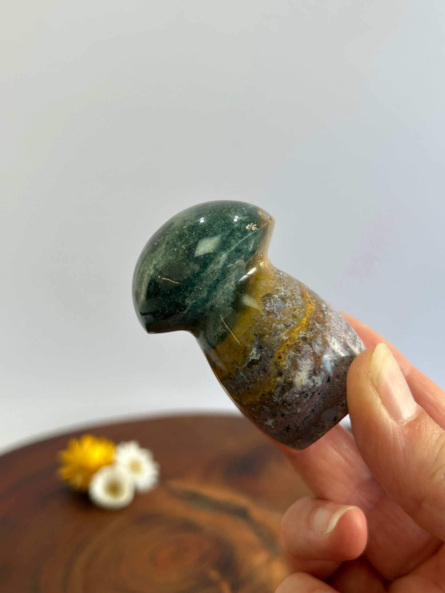 Ocean Jasper Mushroom