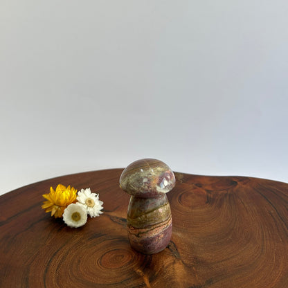 Ocean Jasper Mushroom